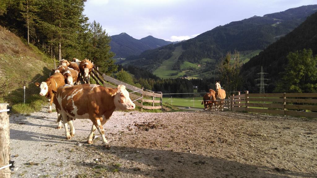 Saumerhof Schladming Exterior foto